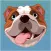 Barking Dog
