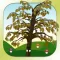The tree that refused to shed - An inspiring story