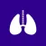 Pulmonary Nodule Risk