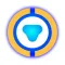 CyberAudit Link
