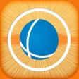 engin2go for iPhone