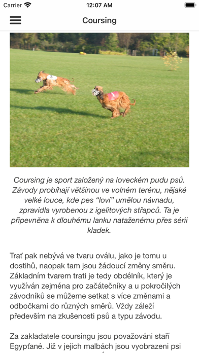 Alfa Dog sport Screenshots