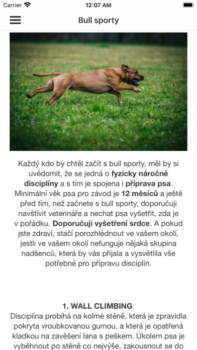 Alfa Dog sport Screenshots