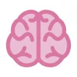 Cerebro: Přírodní vědy Cerebro: Přírodní vědy