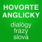 Angličtina pre samoukov - frázy, slovíčka a testy