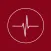 SocialPulse- Followers Reports