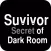 Survivor - Secret for Dark Room
