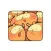 Cute Raccoon Stickers