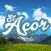 El Acor XVII