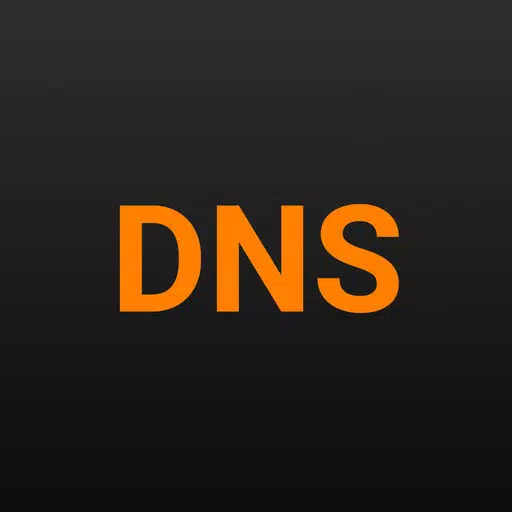 DDM DNS Tool DDM DNS Tool