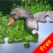 Puzzle! Animals Free
