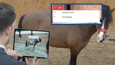 atm-equimapp Screenshots