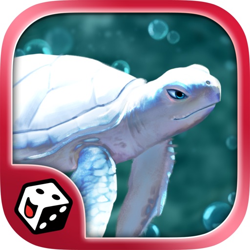 What the Shell - Board Game What the Shell - Board Game