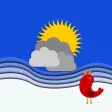 Birdy Weather
