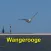 Wangerooge App für den Urlaub