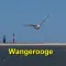 Wangerooge App für den Urlaub