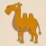 CamelCalc