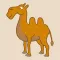CamelCalc