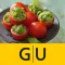 Snacks unter 300 Kalorien - die besten Rezepte für leichte, gesunde Kleinigkeiten für zwischendurch