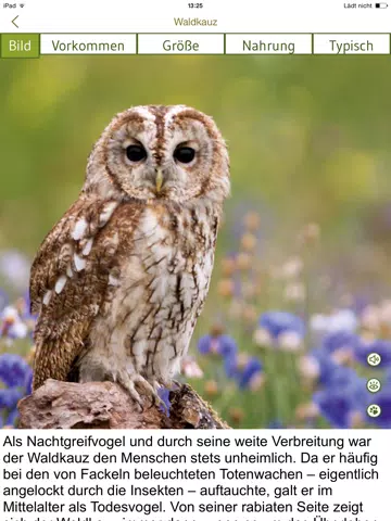Tangkapan layar Tierspuren bestimmen – entdecken Sie die 100 wichtigsten heimischen Tierarten an ihren Spuren iPad
