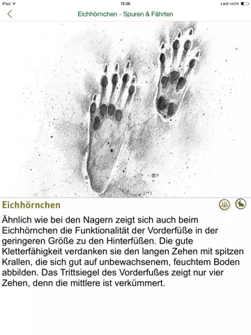 Tangkapan layar Tierspuren bestimmen – entdecken Sie die 100 wichtigsten heimischen Tierarten an ihren Spuren iPad