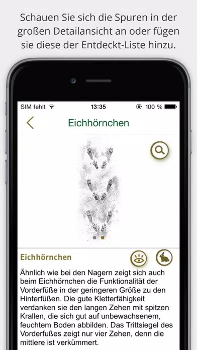 Tangkapan layar Tierspuren bestimmen – entdecken Sie die 100 wichtigsten heimischen Tierarten an ihren Spuren