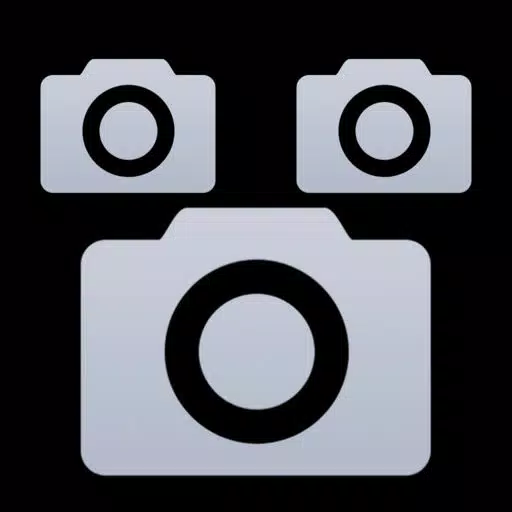 Synchronous Camera Synchronous Camera