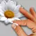 Picking Daisies