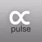 Carsten Nicolai: alpha pulse