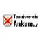 TV Ankum