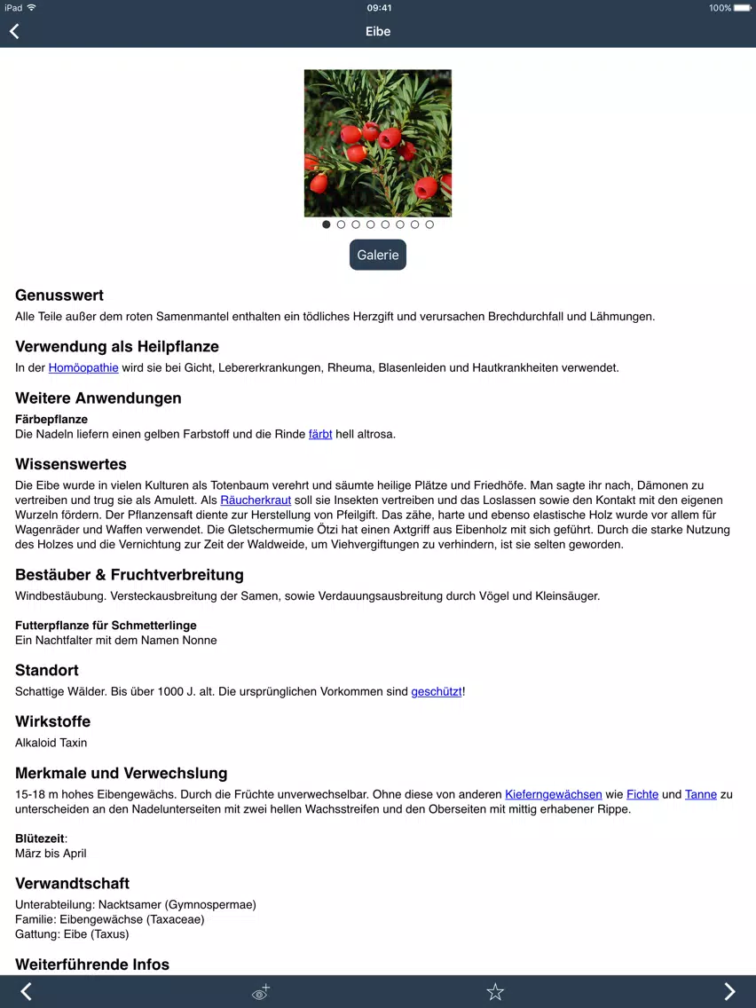 Wildpflanzen zum Genießen iPad Screenshots