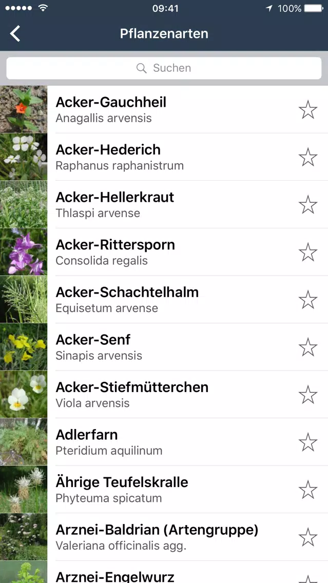 Wildpflanzen zum Genießen Screenshots