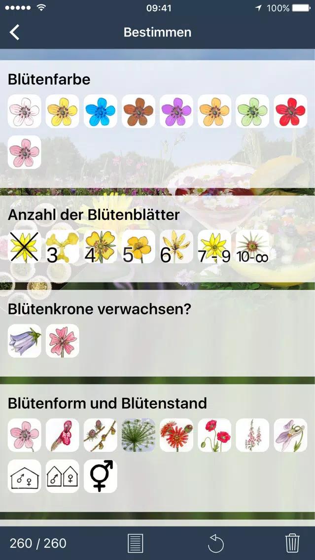 Wildpflanzen zum Genießen Screenshots