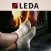 LEDA Wood Stove App 3D