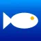 Reef Guide
