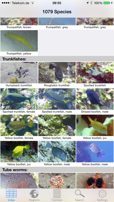 Reef Guide Screenshots