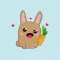 Little Bunny
