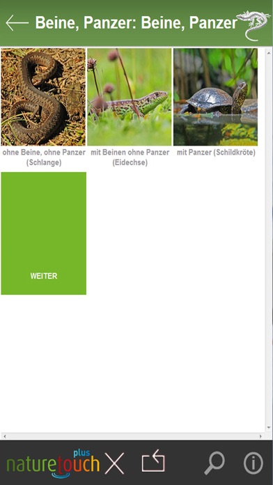 Schlangen, Eidechsen, Schildkröten bestimmen স্ক্রিনশট