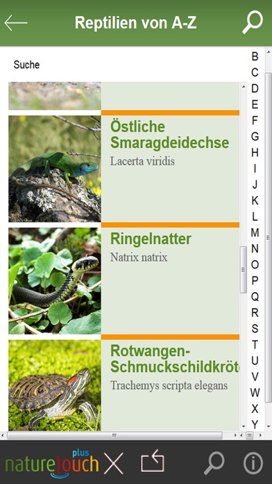 Schlangen, Eidechsen, Schildkröten bestimmen স্ক্রিনশট