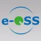 e-QSS ML