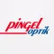 Pingel Optik