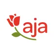 aja Resorts