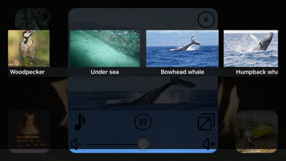 Nature Sounds Mix - Relax - Meditate - Sleep Screenshots