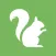 Health Diary & Report