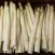 Spargel