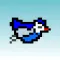 Amusing Bird