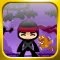 The Ninja vs Cats Adventure