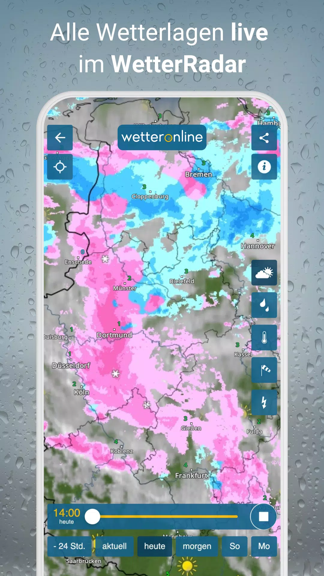 RegenRadar Screenshots