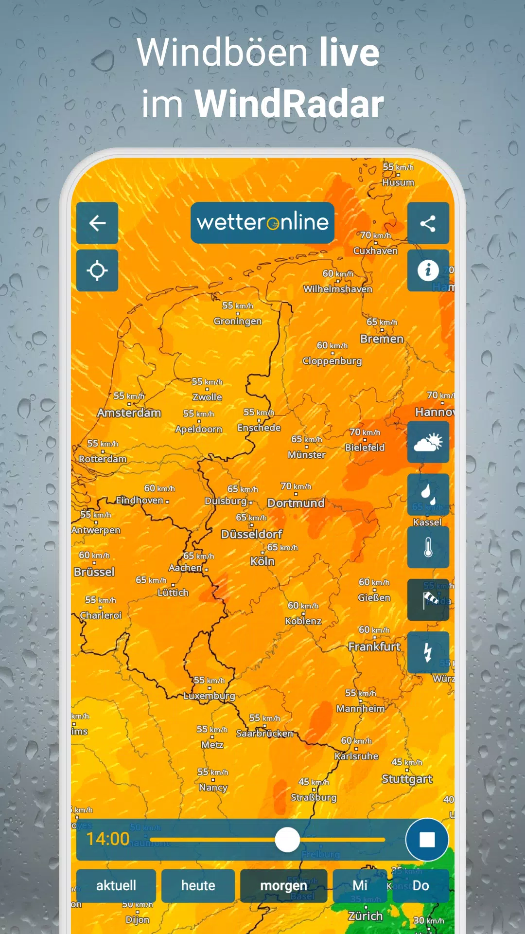RegenRadar Screenshots