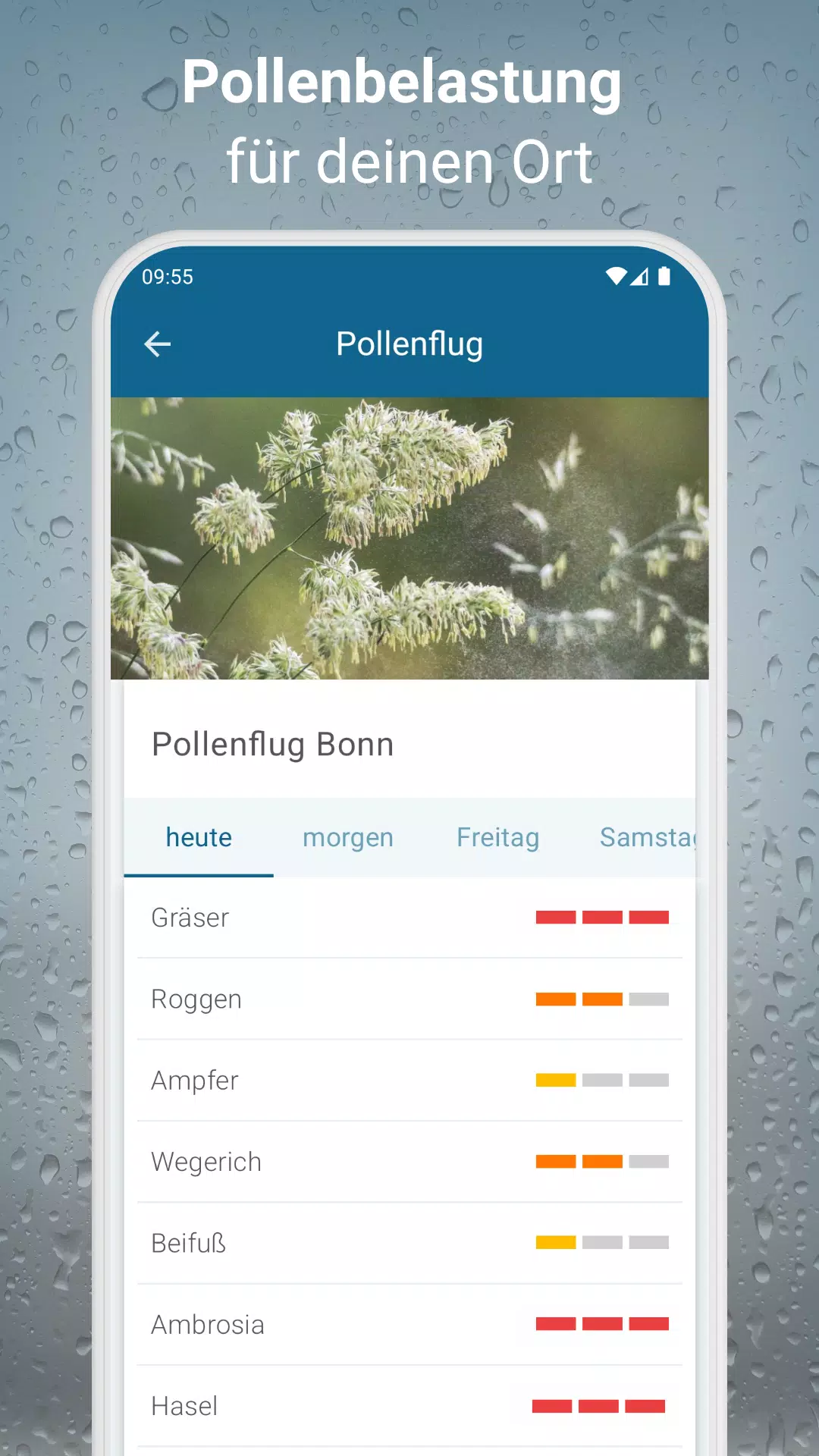 RegenRadar Screenshots